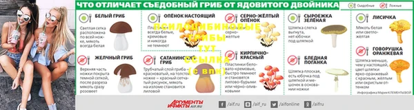 спайс Аркадак