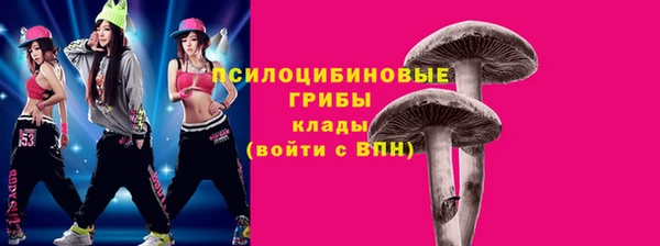 спайс Аркадак