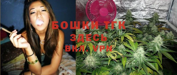 дурь Арсеньев