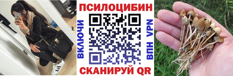 Галлюциногенные грибы GOLDEN TEACHER  как найти наркотики  Верхнеуральск 